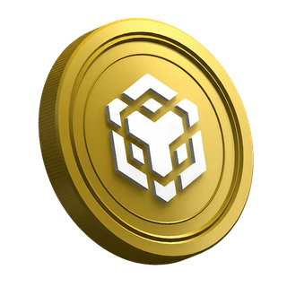 Binance BNB digital currency displayed on beginner trader instructional page